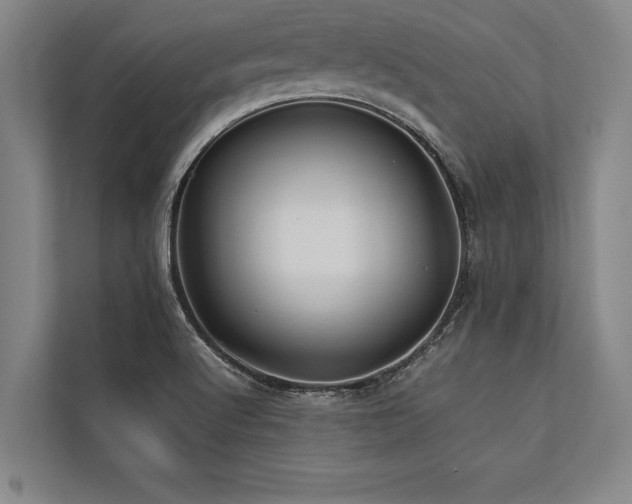 X0000113641512200909181446