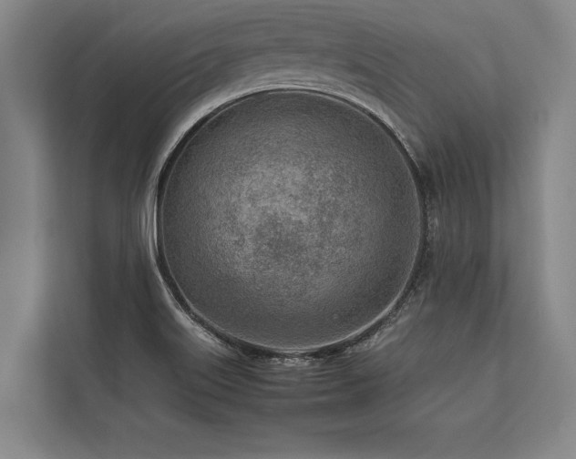 X0000113641515200909181446