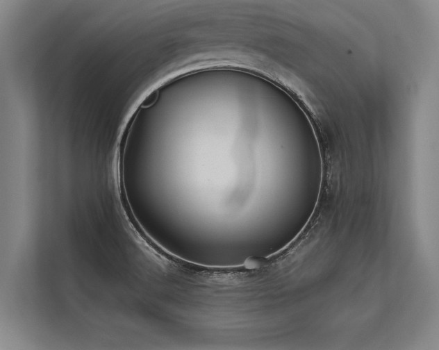 X0000113641516200909181446