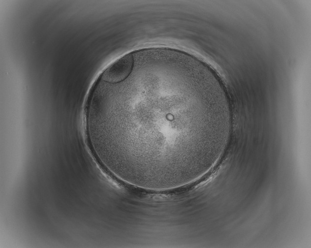 X0000113641517200909181446