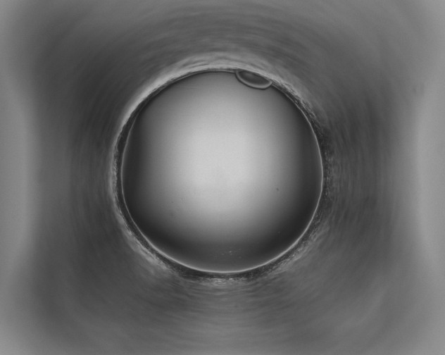 X0000113641518200909181446