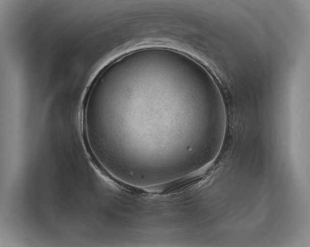 X0000113641519200909181446