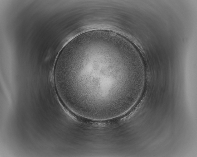 X0000113641521200909181446