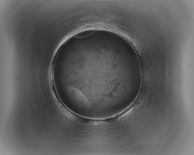 X0000113641522200909181446