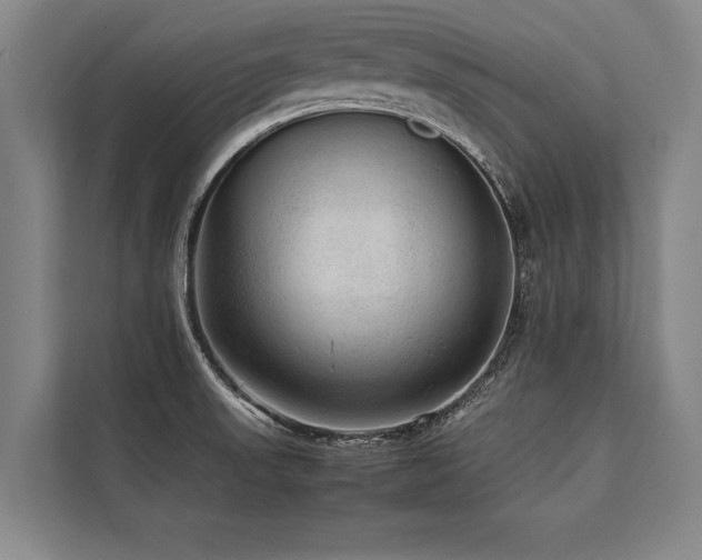 X0000113641523200909181446