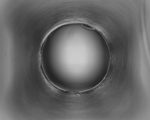 X0000113641524200909181446