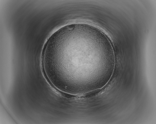 X0000113641525200909181446