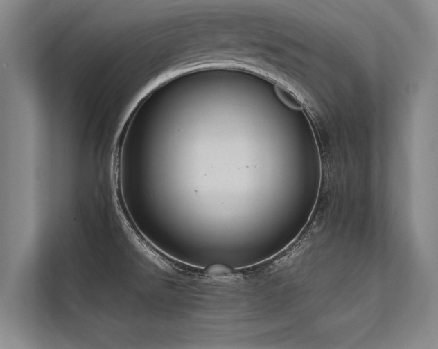 X0000113641526200909181446
