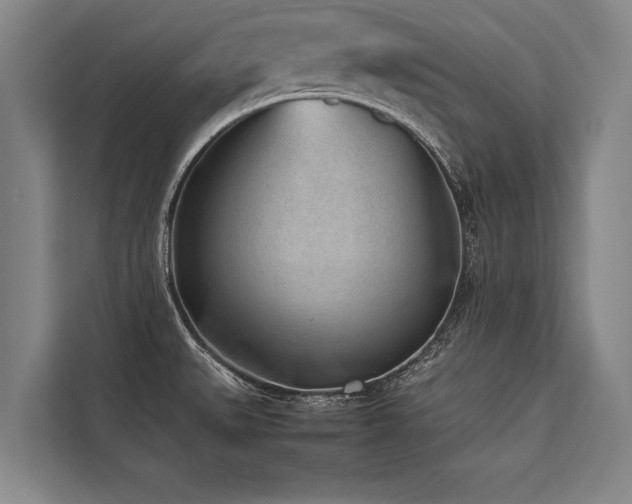 X0000113641527200909181446