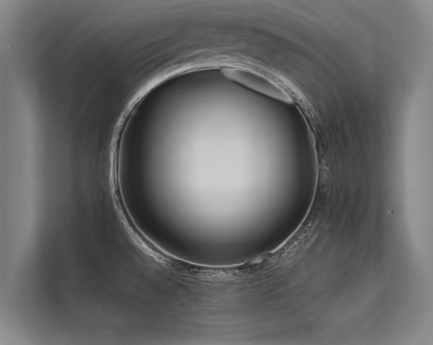 X0000113641528200909181446