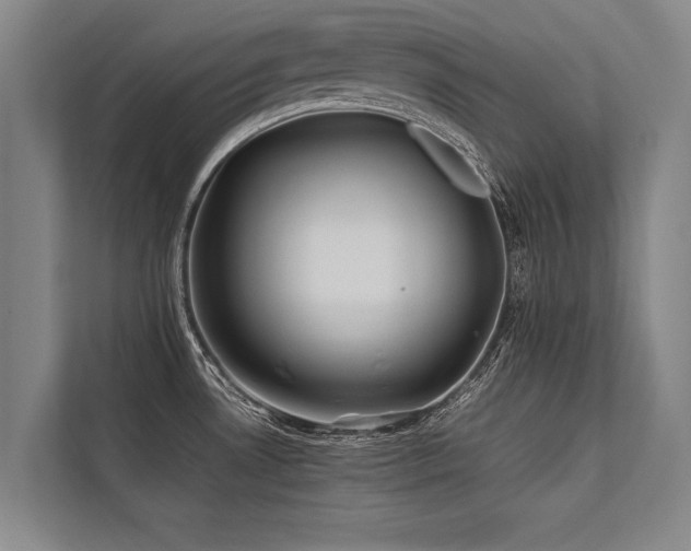 X0000113641530200909181446