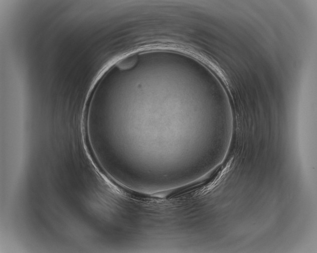 X0000113641533200909181446