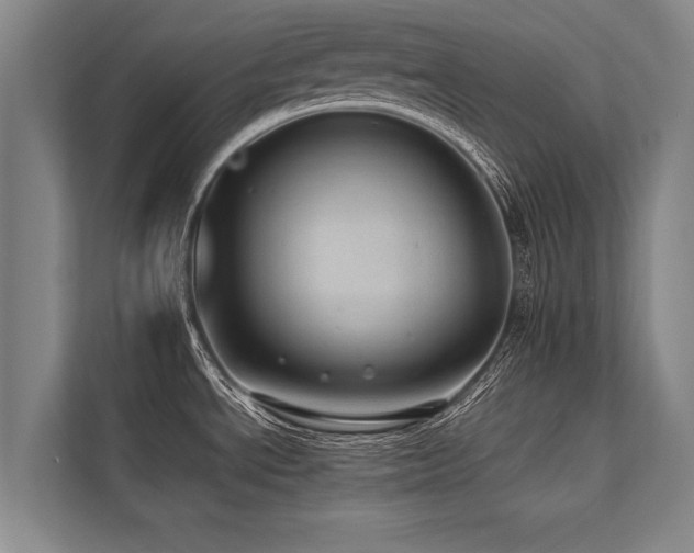 X0000113641534200909181446