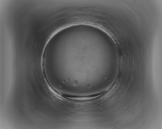 X0000113641535200909181446