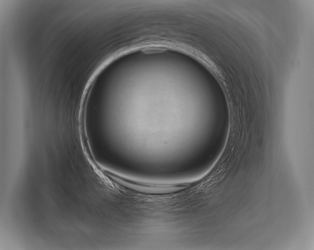 X0000113641536200909181446