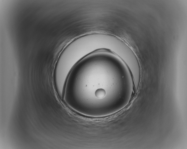 X0000113640001200909251251