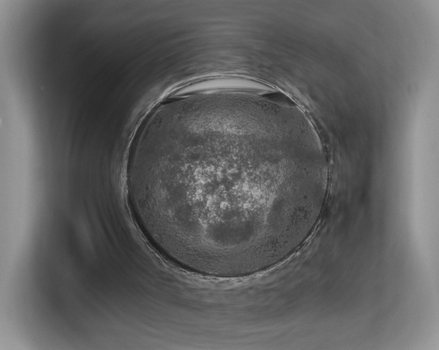 X0000113640002200909251251