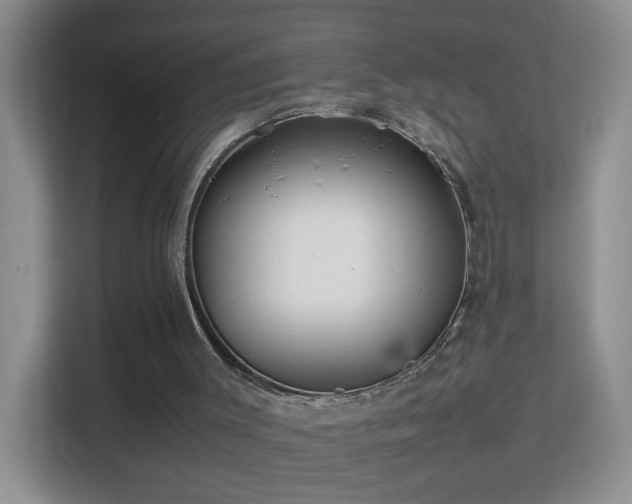 X0000113640003200909251251