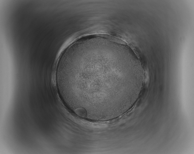 X0000113640004200909251251