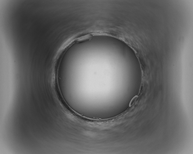 X0000113640005200909251251