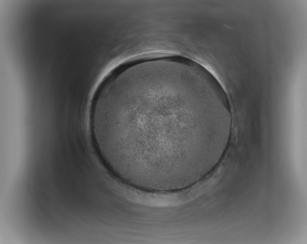 X0000113640008200909251251