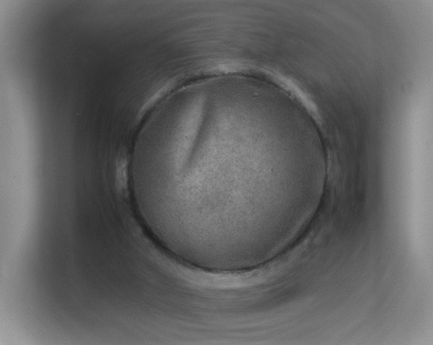 X0000113640010200909251251