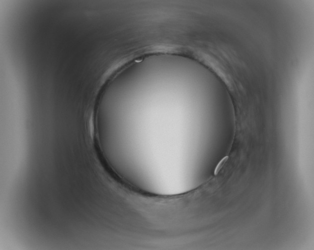 X0000113640011200909251251