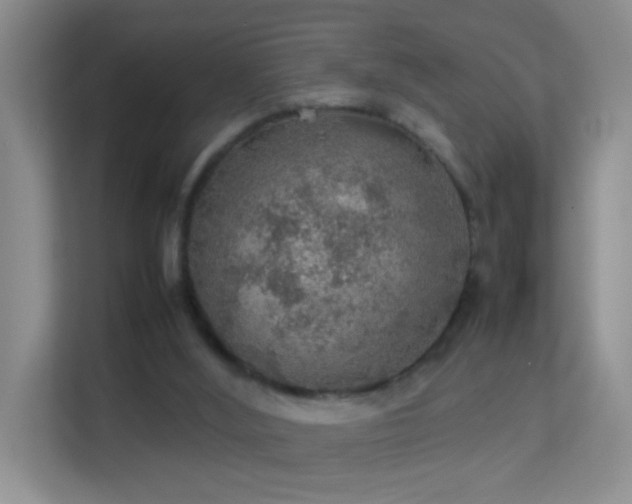 X0000113640012200909251251