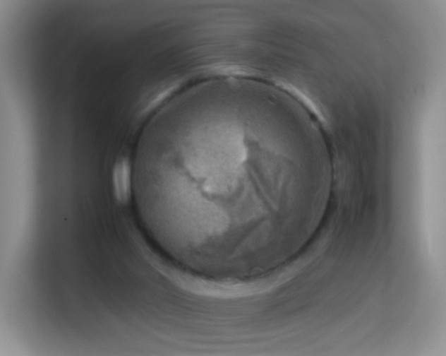 X0000113640014200909251251