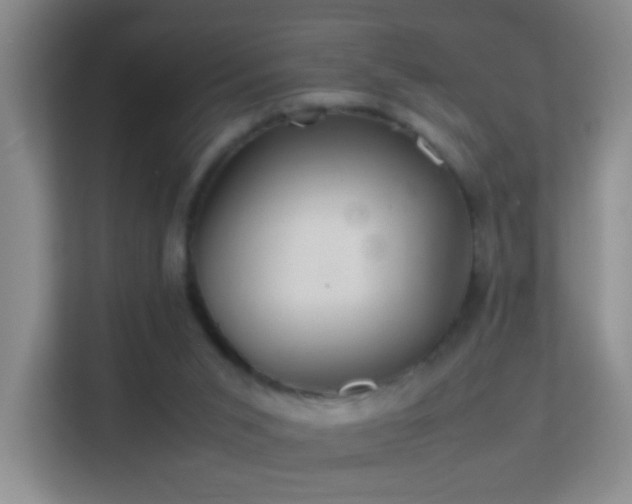 X0000113640015200909251251