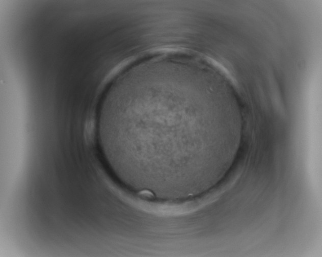 X0000113640016200909251251