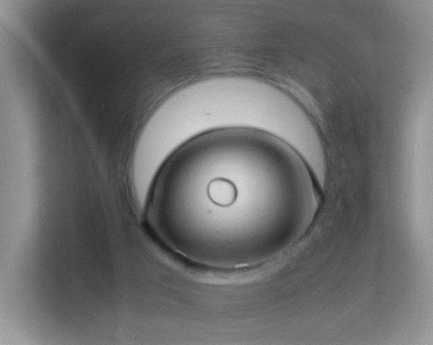 X0000113640017200909251251