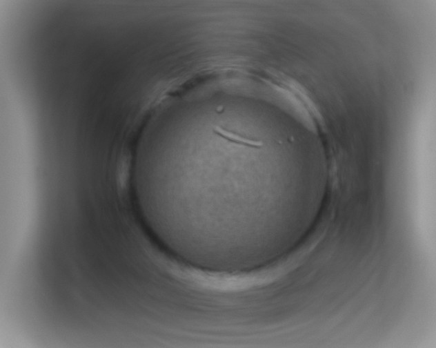 X0000113640018200909251251