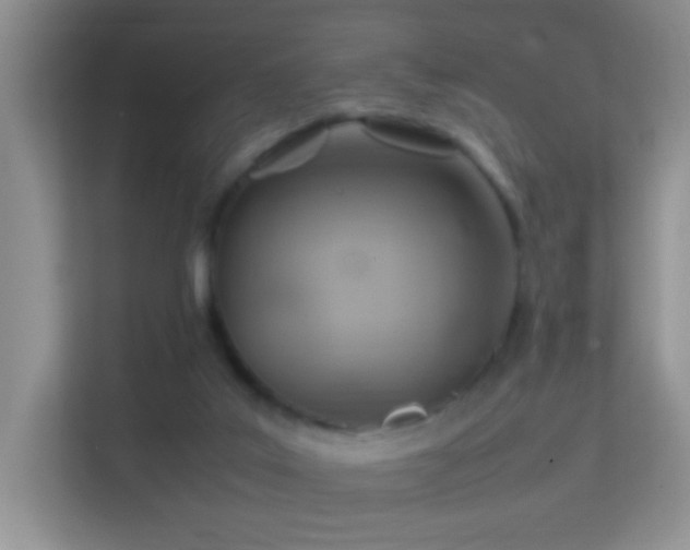 X0000113640019200909251251