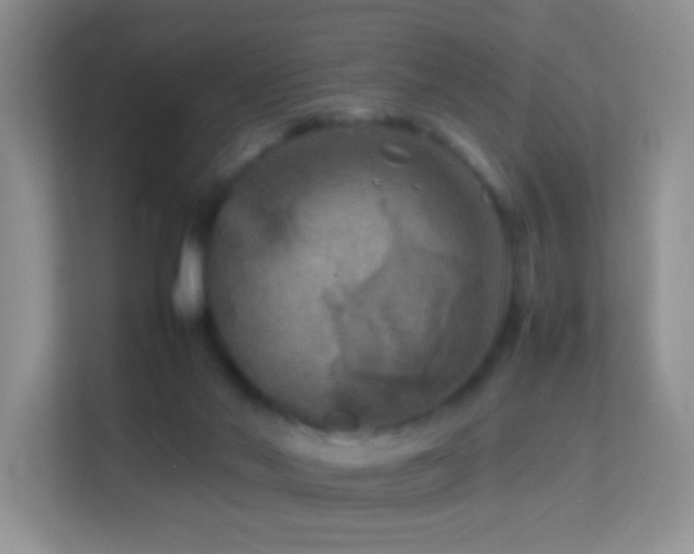 X0000113640022200909251251