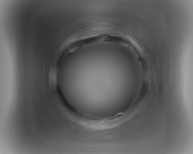 X0000113640023200909251251