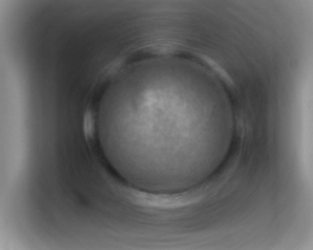 X0000113640026200909251250