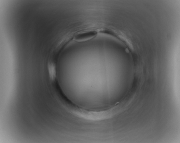 X0000113640027200909251250