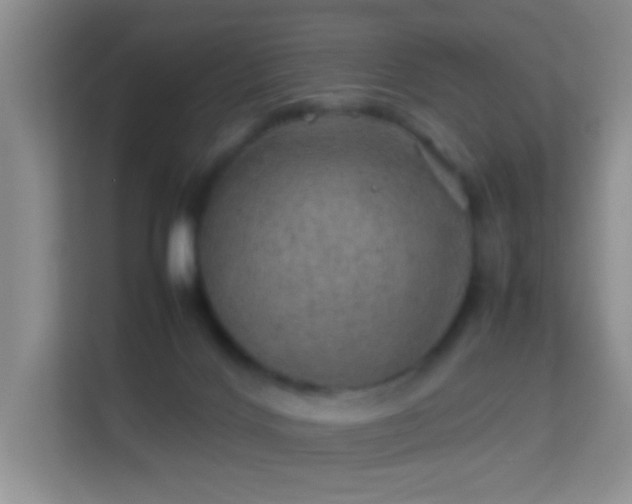 X0000113640028200909251250