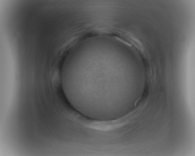 X0000113640029200909251250