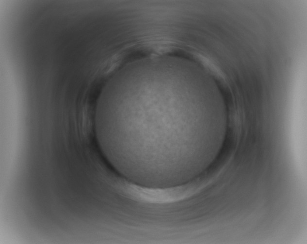 X0000113640030200909251250