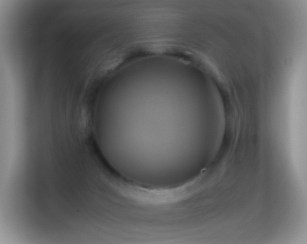 X0000113640031200909251250