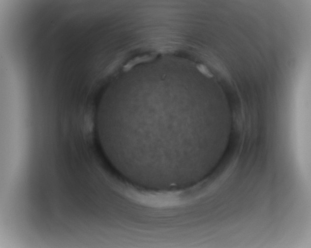 X0000113640032200909251250