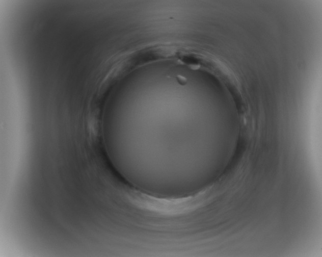 X0000113640035200909251250