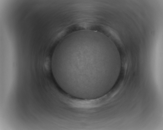 X0000113640036200909251250