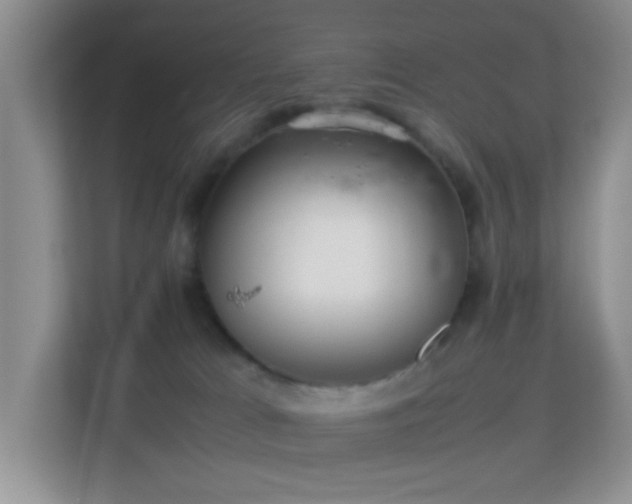 X0000113640037200909251250