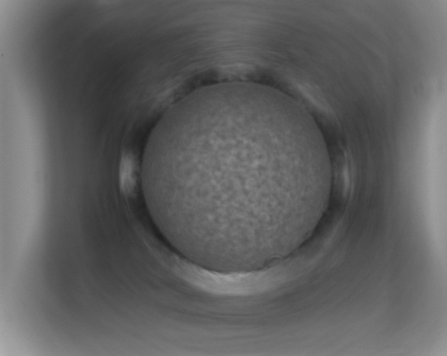 X0000113640038200909251250