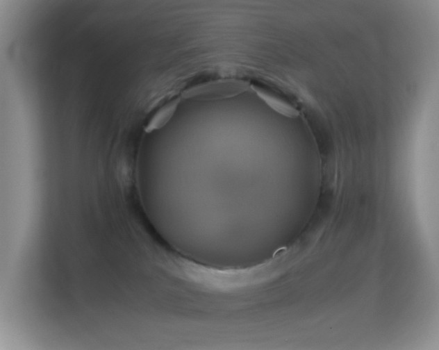 X0000113640039200909251250