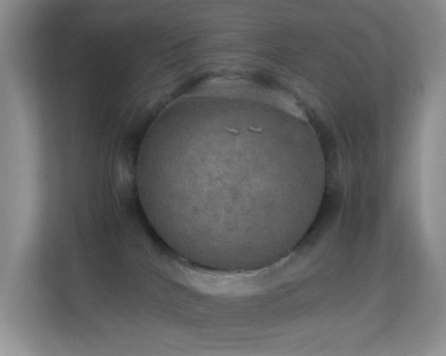 X0000113640040200909251250