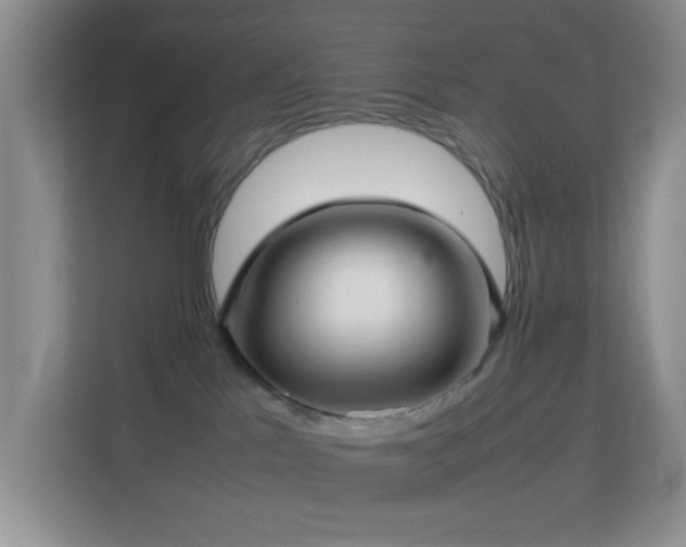 X0000113640041200909251250